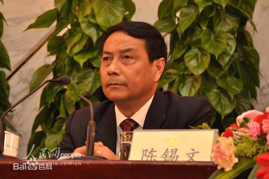 陈锡文